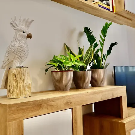 Residenza Ipanema Αλγκέρο